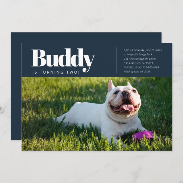 Modern Custom Puppy Dog Photo Birthday Invitation (Front/Back)