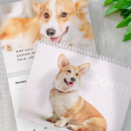 Modern Cute Funny Corgi Dogs Photos Calendar