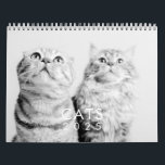 Modern Cute Funny Pet Kitten Cat Photos Calendar<br><div class="desc">Design is composed of photos of cute pet cats</div>