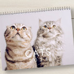 Modern Cute Funny Pet Kitten Cat Photos Calendar<br><div class="desc">Design is composed of photos of cute pet cats</div>