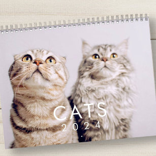 Modern Cute Funny Pet Kitten Cat Photos Calendar