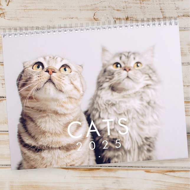 Modern Cute Funny Pet Kitten Cat Photos Calendar (Creator Uploaded)