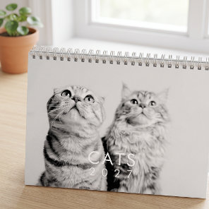 Modern Cute Funny Pet Kitten Cat Photos Calendar