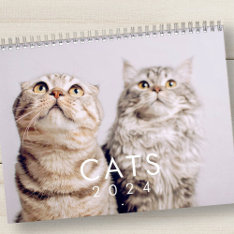 Modern Cute Funny Pet Kitten Cat Photos Calendar at Zazzle