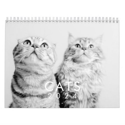 Modern Cute Funny Pet Kitten Cat Photos Calendar