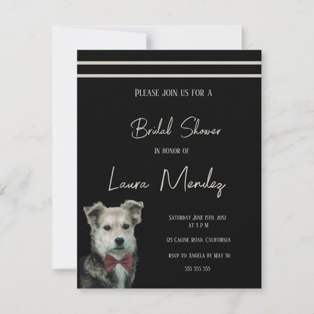 modern cute mongrel dog  Bridal Shower Invitation (Front)