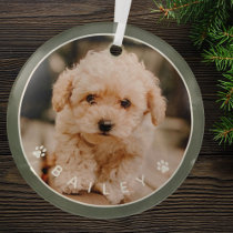Modern Cute Paws Family Pet Photo Glass Ornament