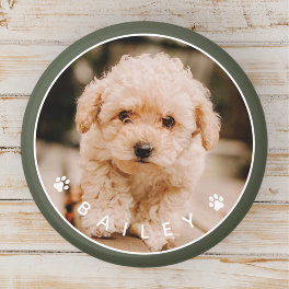 Modern Cute Paws Family Pet Photo Magnet