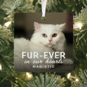 Modern Cute Photo Cat Memorial Keepsake Metal Ornament