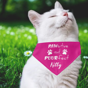 Modern Cute Positive and Perfect Cat Pet Bandana Collar