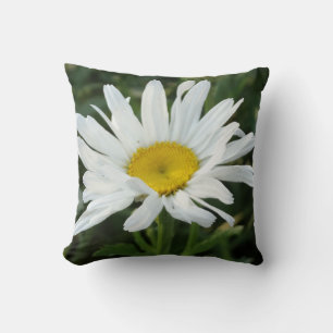 Modern Cute White daisy pillow