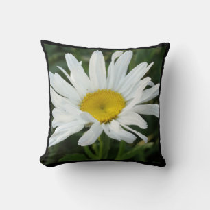 Modern Cute White daisy pillow