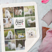 Modern Cutest Paws Ever Playful Dog Photo Collage