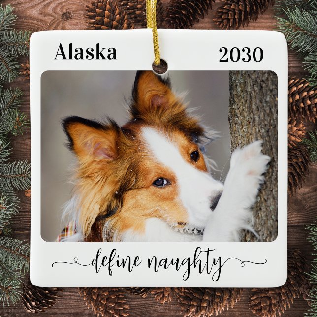 Modern Define Naughty Personalized Funny Pet Photo Ceramic Ornament (Creator Uploaded)