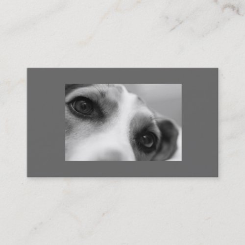 Modern Dog Eyes and Paw Business Card Template