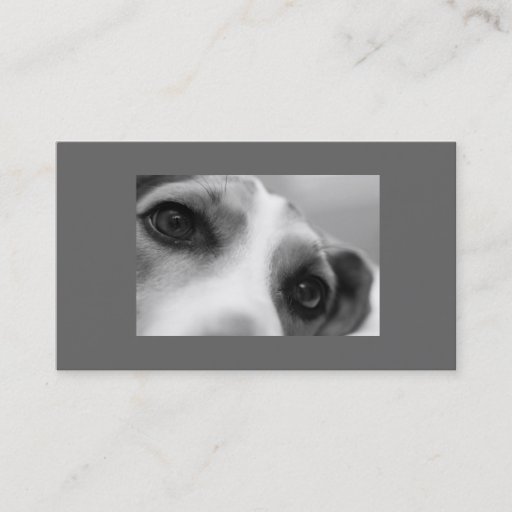Customizable Modern Dog Eyes and Paw Business Card Template