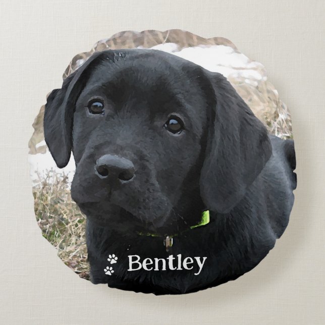 Modern Dog Lover Personalized 2 Pet Photo Round Pillow (Front)