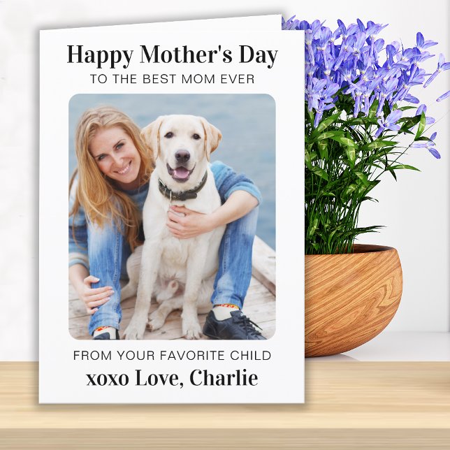 Modern Dog Mom Custom Pet Photo Personalized  Holiday Card (Creator Uploaded)