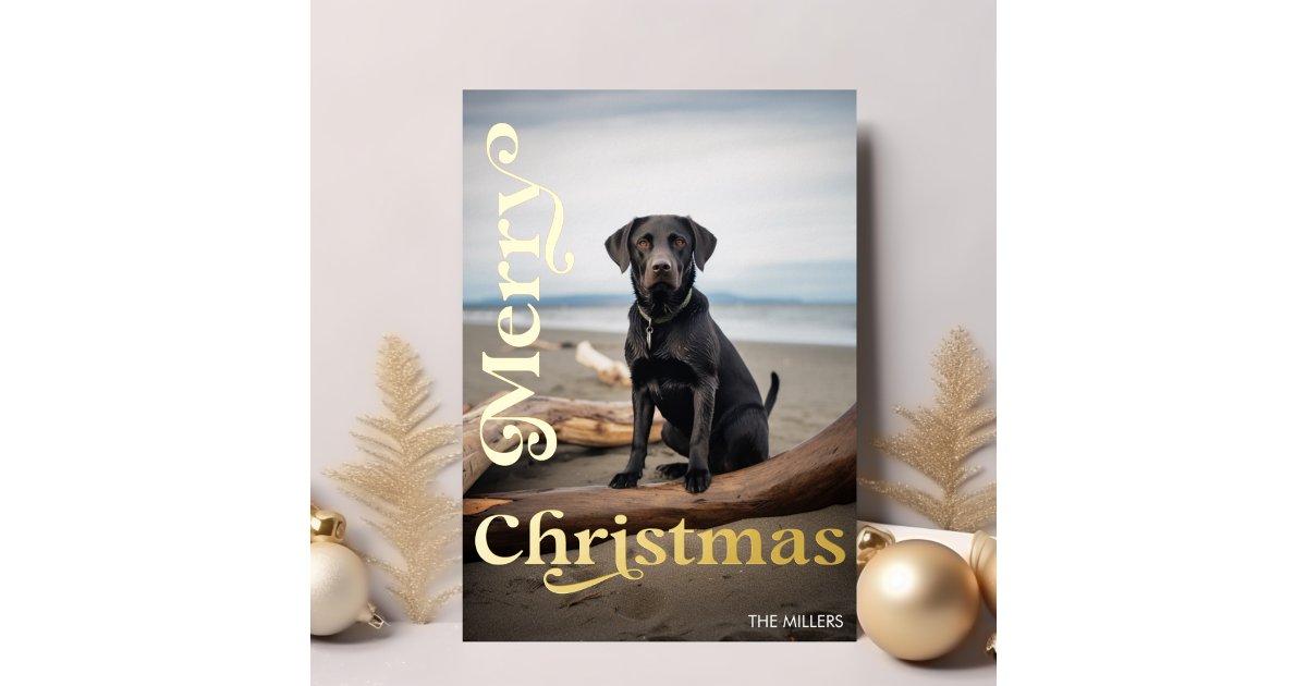 Modern Dog Pet Merry Christmas Minimalist Photo Foil Holiday Card | Zazzle