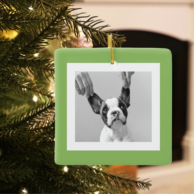 Modern  Dog Photo Green Simple Lovely Gift Ceramic Ornament (Creator Uploaded)