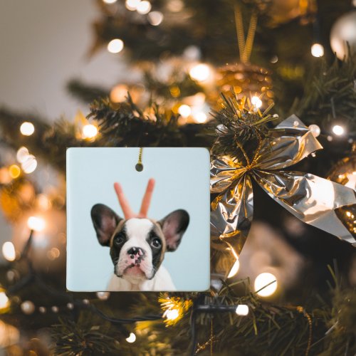 Modern Dog Photo  Merry Christmas  Ceramic Ornament