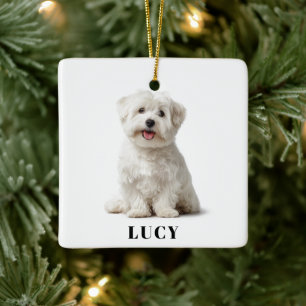 Modern Dog Photo Merry Christmas Ornament