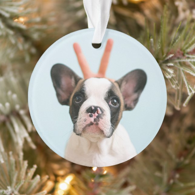 Modern Dog Photo | Merry Christmas Ornament (Tree)