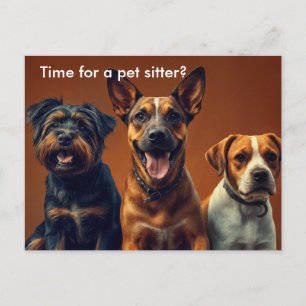 Modern Dog Walker / Pet Sitter Marketing Postcard