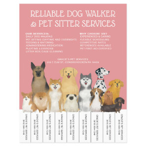 Modern Dog Walker Pet Sitter Pink Simple Strip Flyer