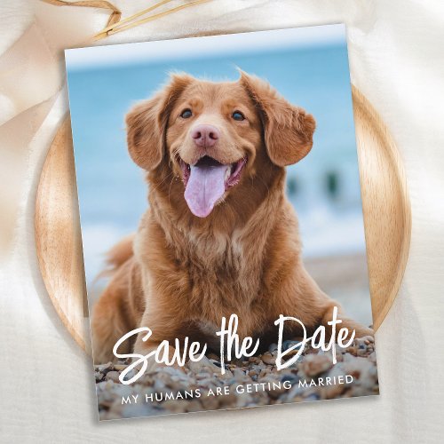 Modern Dog Wedding Custom Pet Photo Save The Date  Announcement Postcard