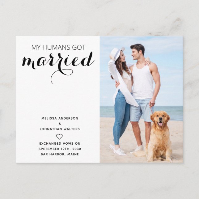 Modern Dog Wedding Just Married Elopement Announcement Postcard (Front)