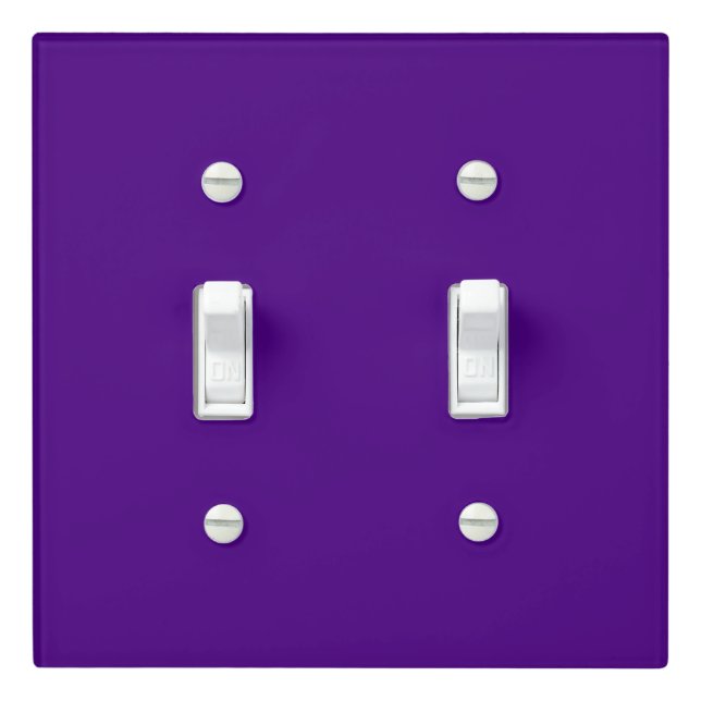 Modern Double Light Switch Cover (In Situ)