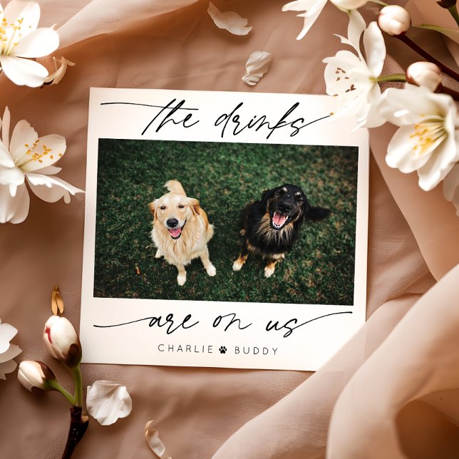 Modern Drink Are On Us Pet Photo  Napkins (Creator Uploaded)