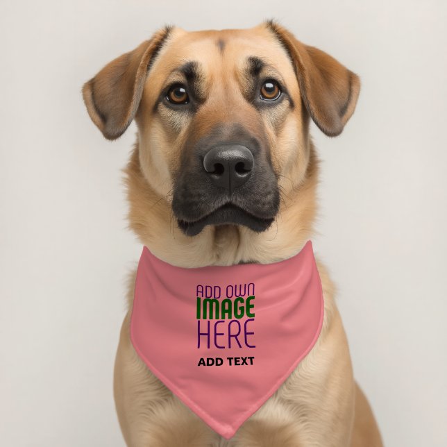 MODERN EDITABLE SALMON PINK IMAGE TEXT TEMPLATE PET BANDANA COLLAR (Dog 2)