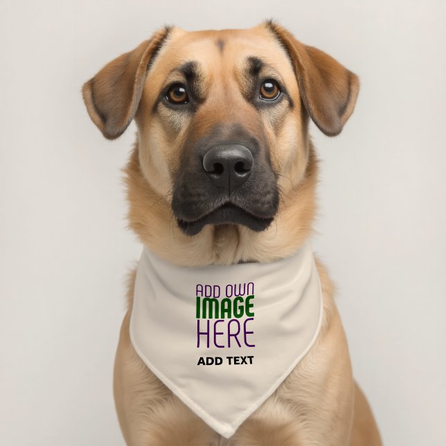 MODERN EDITABLE SIMPLE NATURAL IMAGE TEXT TEMPLATE PET BANDANA COLLAR (Dog 2)