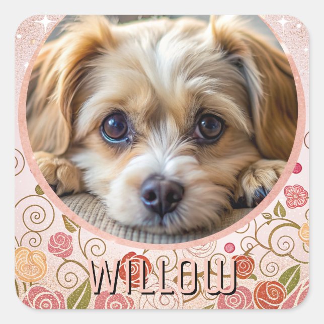 Modern Elegant Chic Pet Photo  Square Sticker (Front)