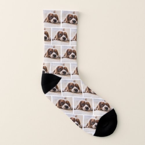 Modern Elegant Custom Pet Photo Pattern Socks