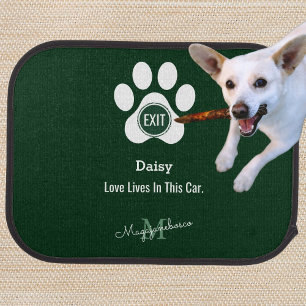 Modern Elegant DIY Pet Dog Lover Script Monogram Car Floor Mat