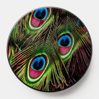 modern elegant girly teal peacock feather PopSocket