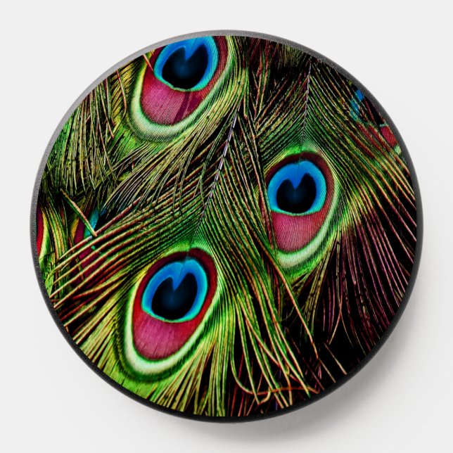 modern elegant girly teal peacock feather PopSocket (Popsocket)
