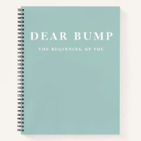 Modern Elegant Minimal Mint Pregnancy Gift