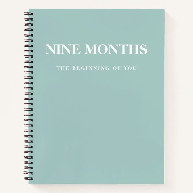Modern Elegant Minimal Mint Pregnancy Gift Notebook (Front)