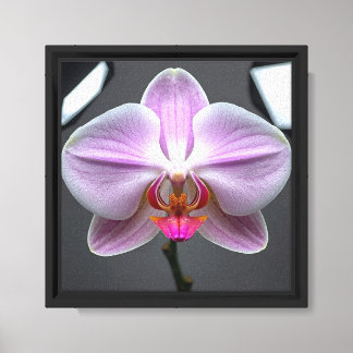 Modern elegant minimalist flower Design Canvas Print