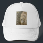Modern Elegant Pop Art Lion Head The King Template Trucker Hat<br><div class="desc">Modern Elegant Pop Art Lion Head The King Template White Baseball Trucker Hat.</div>