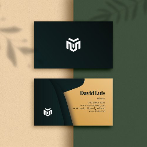 Modern elegant professional Business Cards logo