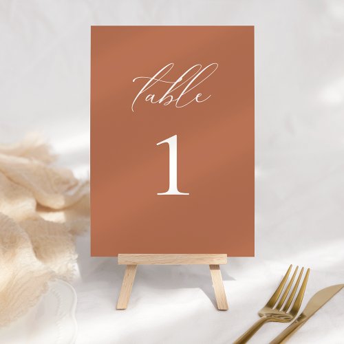 Modern Elegant Script Clay Table Number