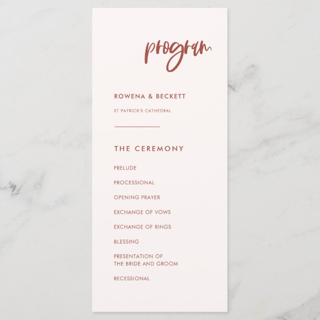 Modern elegant snow pink wedding program (Front)