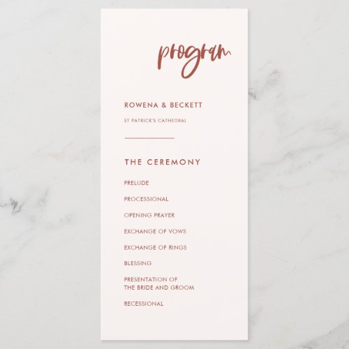 Modern elegant snow pink wedding program