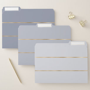 Modern Elegant Stripe Blue Gold File Folder