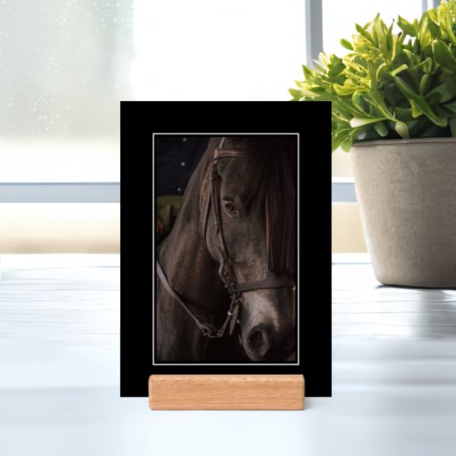 Modern Equestrian Custom Horse Photo Black Frame Holder